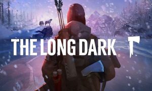 the long dark game