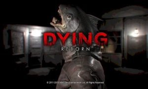 dying reborn game