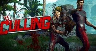 the culling game