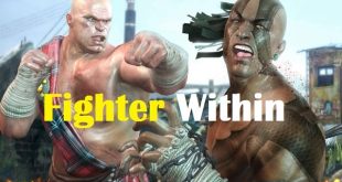 fighter within game