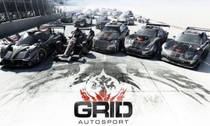 grid autosport game