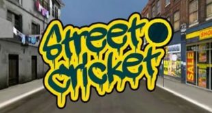 street cricket 1 game
