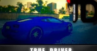 true driver game