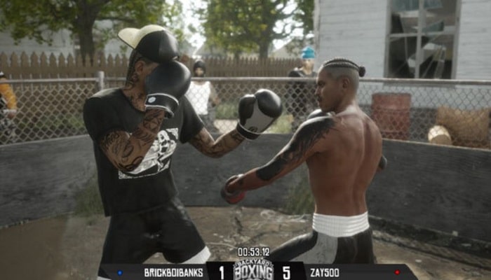Backyard Boxing for pc